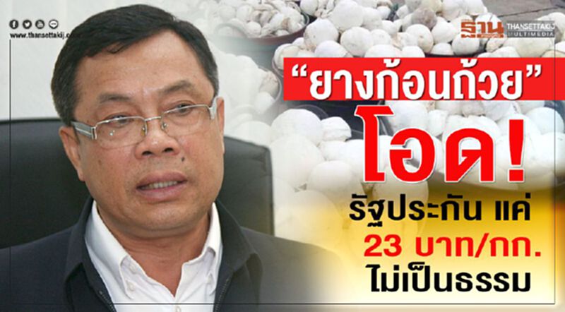 “ยางก้อนถ้วย” โอด! รัฐประกันราคาแค่ 23 บาท/กก.ไม่เป็นธรรม “ยางก้อนถ้วย” โอด! รัฐประกันราคาแค่ 23 บาท/กก.ไม่เป็นธรรม