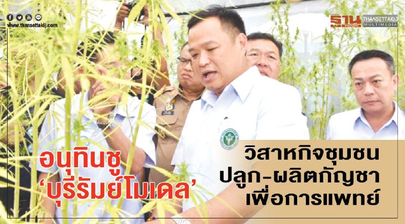  อนุทิน ชู ‘บุรีรัมย์โมเดล’ วิสาหกิจชุมชนปลูก-ผลิตกัญชา เพื่อการแพทย์    