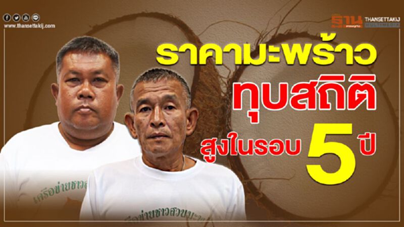 ราคามะพร้าวทุบสถิติสูงในรอบ 5 ปี ราคามะพร้าวทุบสถิติสูงในรอบ 5 ปี