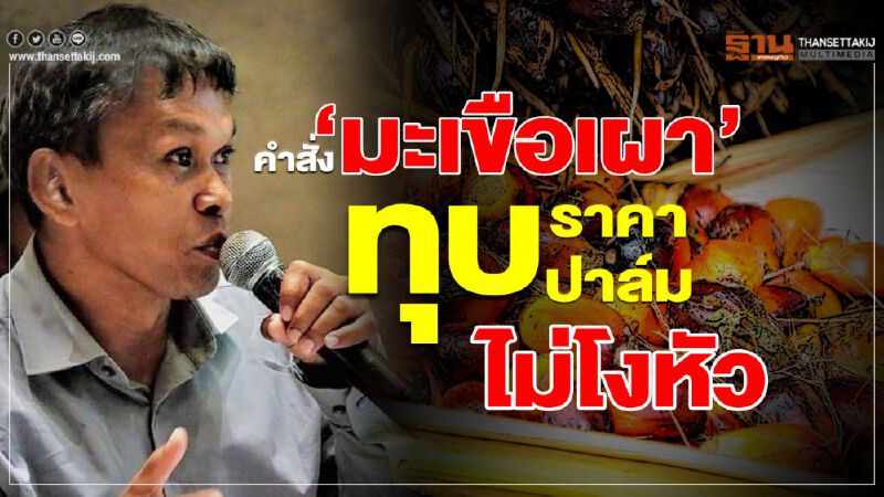 คำสั่ง ‘มะเขือเผา’ ทุบราคาปาล์มไม่โงหัว