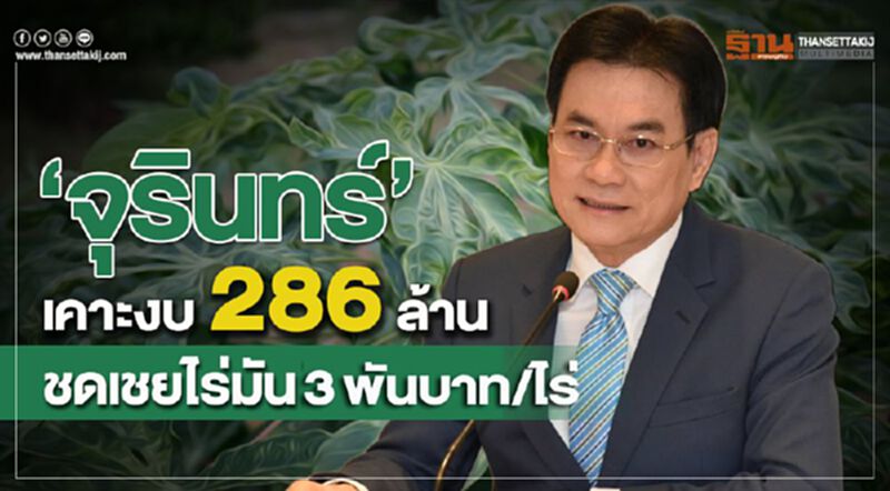 “จุรินทร์”เคาะงบ 286 ล้าน ชดเชยไร่มัน 3 พันต่อไร่ “จุรินทร์”เคาะงบ 286 ล้าน ชดเชยไร่มัน 3 พันต่อไร่