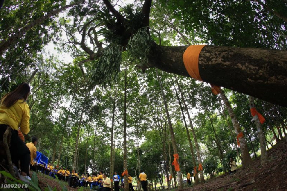 ชวนรักษ์ป่าผืนสุดท้าย แห่งบ้านอ่างเอ็ดจันทบุรี