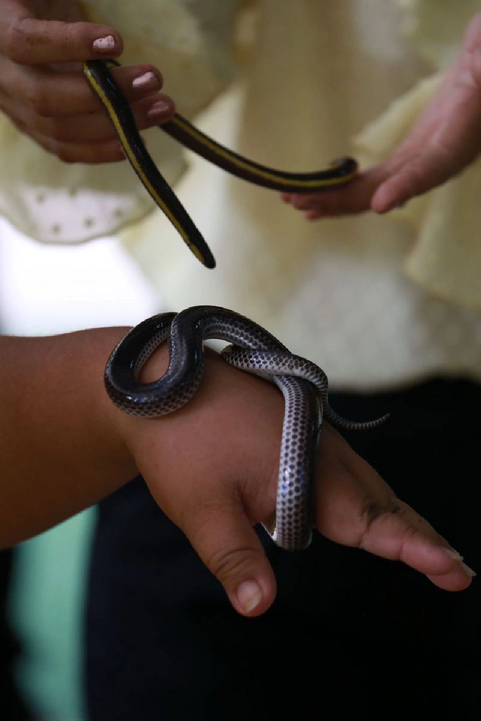 ชวนรักษ์ป่าผืนสุดท้าย แห่งบ้านอ่างเอ็ดจันทบุรี