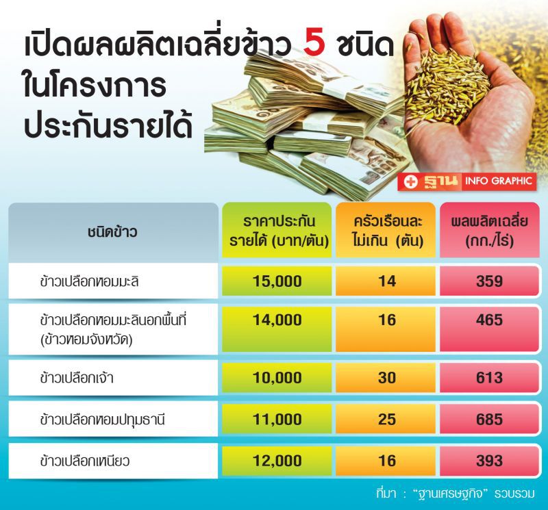 ดิ่งเหวยกแผง! ขานรับนโยบายประกันรายได้ข้าว