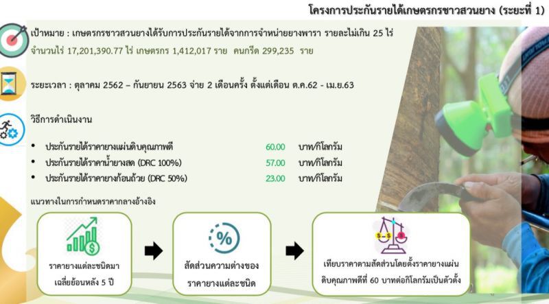 ไม่ต้องลุ้น! 4 ต.ค. คาด.‘บิ๊กตู่’ เดินหน้าประกันรายได้ยางพารา