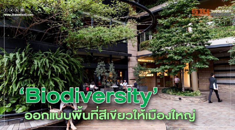 ‘Biodiversity’ ออกแบบพื้นที่สีเขียวให้เมืองใหญ่ ‘Biodiversity’ ออกแบบพื้นที่สีเขียวให้เมืองใหญ่