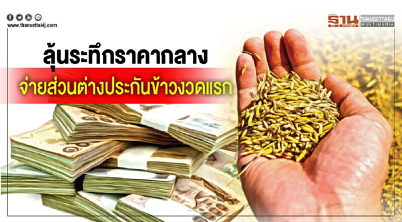 ลุ้นระทึกราคากลาง จ่ายส่วนต่างประกันข้าวงวดแรก ลุ้นระทึกราคากลาง จ่ายส่วนต่างประกันข้าวงวดแรก