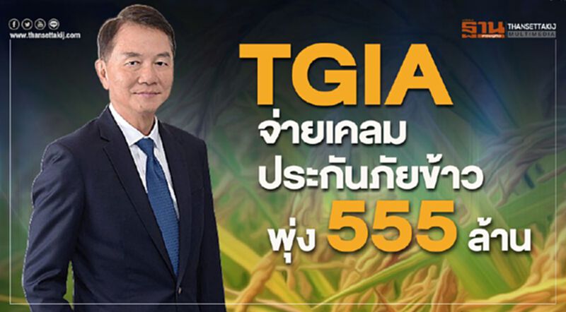 TGIA จ่ายเคลมประกันภัยข้าว พุ่ง 555 ล้าน TGIA จ่ายเคลมประกันภัยข้าว พุ่ง 555 ล้าน