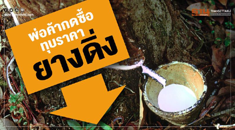 พ่อค้ากดซื้อ ทุบราคายางดิ่ง รัฐแบกชดเชย พ่อค้ากดซื้อ ทุบราคายางดิ่ง รัฐแบกชดเชย
