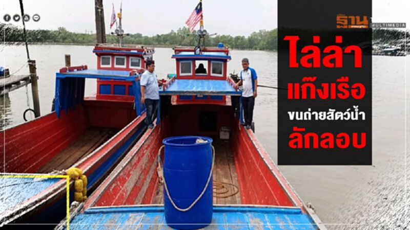 ไล่ล่าแก๊งเรือขนถ่ายสัตว์น้ำลักลอบ ไล่ล่าแก๊งเรือขนถ่ายสัตว์น้ำลักลอบ