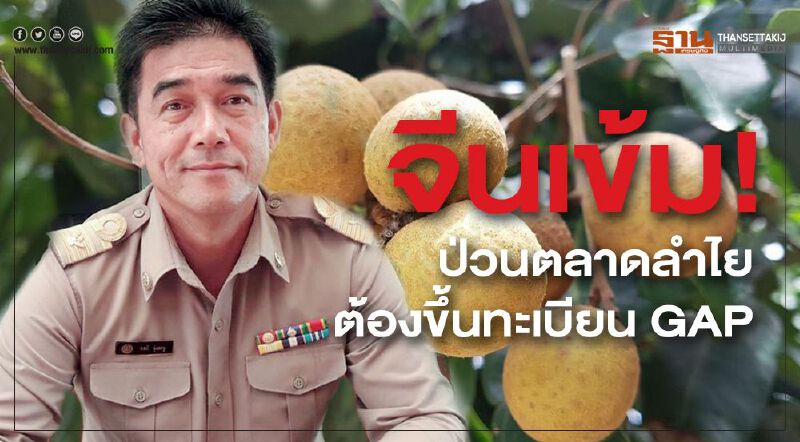 จีนเข้ม!ป่วนตลาดลำไยต้องขึ้นทะบียน GAP จีนเข้ม!ป่วนตลาดลำไยต้องขึ้นทะบียน GAP