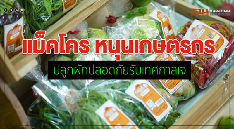 แม็คโคร หนุนเกษตรกรปลูกผักปลอดภัยรับเทศกาลเจ แม็คโคร หนุนเกษตรกรปลูกผักปลอดภัยรับเทศกาลเจ
