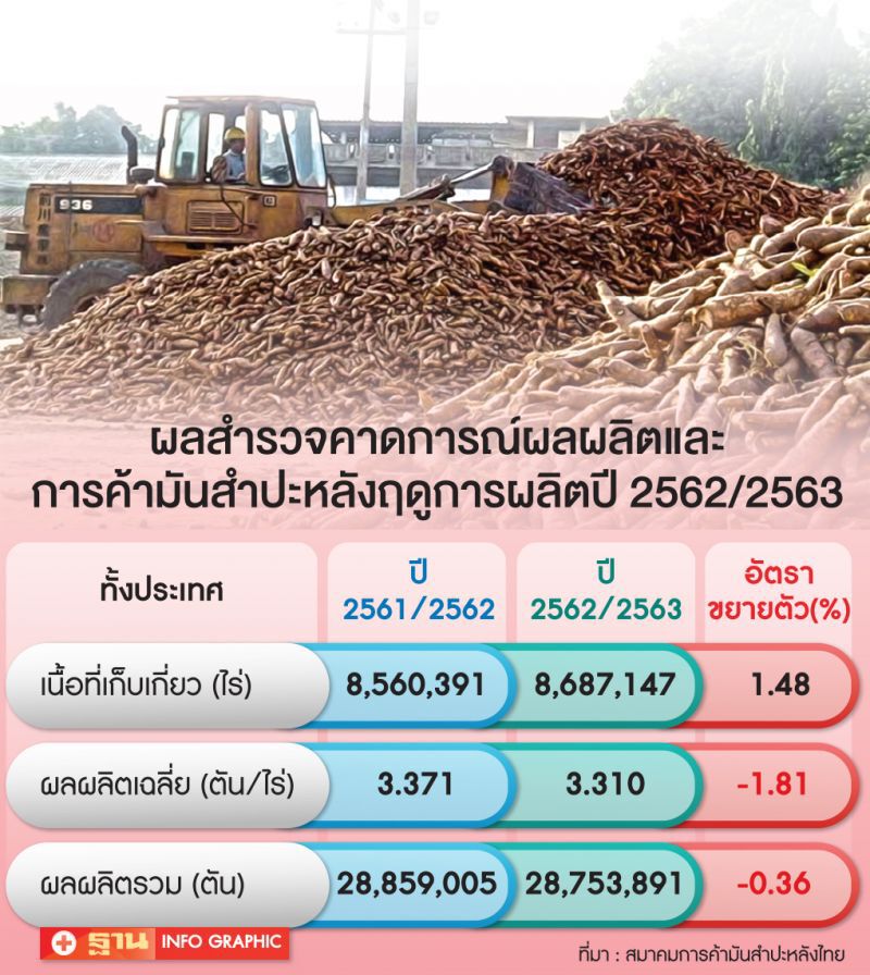 ไร่มันเคว้งราคาวูบ  จี้รัฐเร่งประกันรายได้