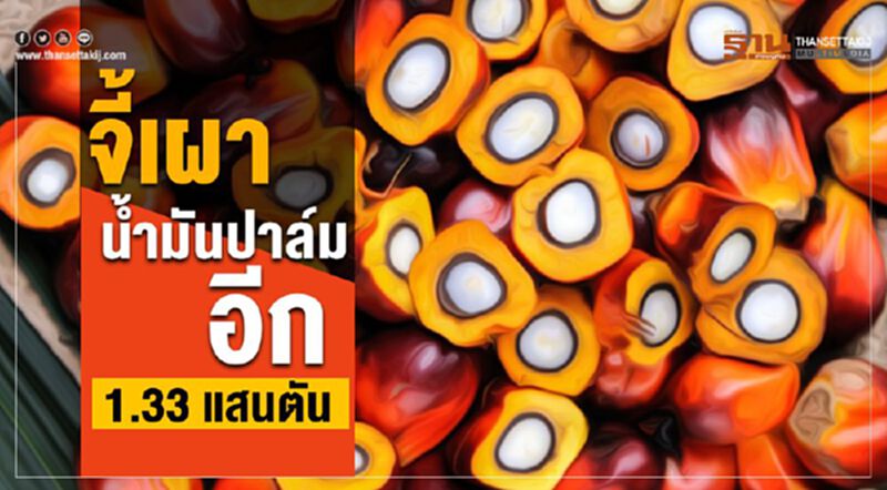จี้เผาน้ำมันปาล์มอีก 1.33 แสนตัน จี้เผาน้ำมันปาล์มอีก 1.33 แสนตัน