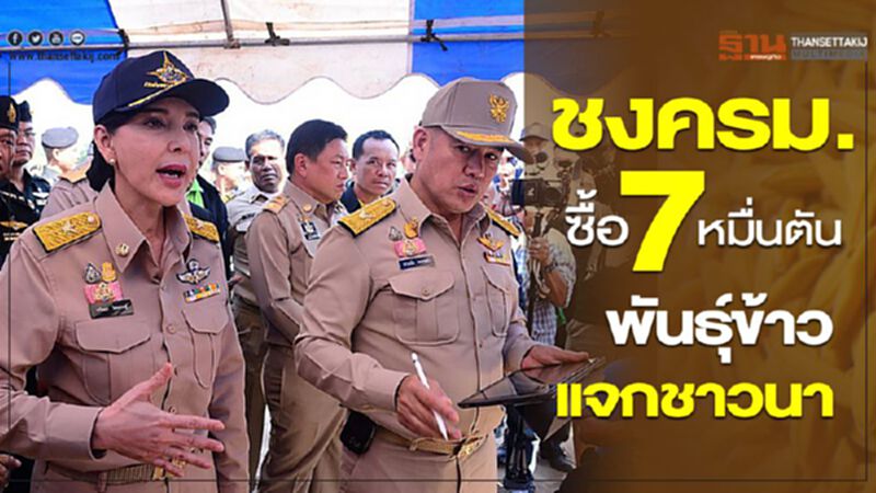 ชงครม.ซื้อ 7 หมื่นตัน พันธุ์ข้าวแจกชาวนา ชงครม.ซื้อ 7 หมื่นตัน พันธุ์ข้าวแจกชาวนา