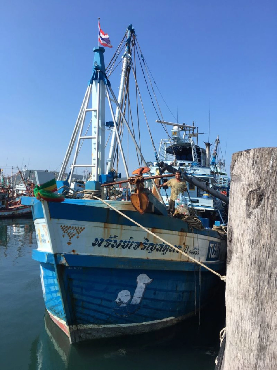 สุดปัง!! ประมงเคลียร์มหาสมุทร