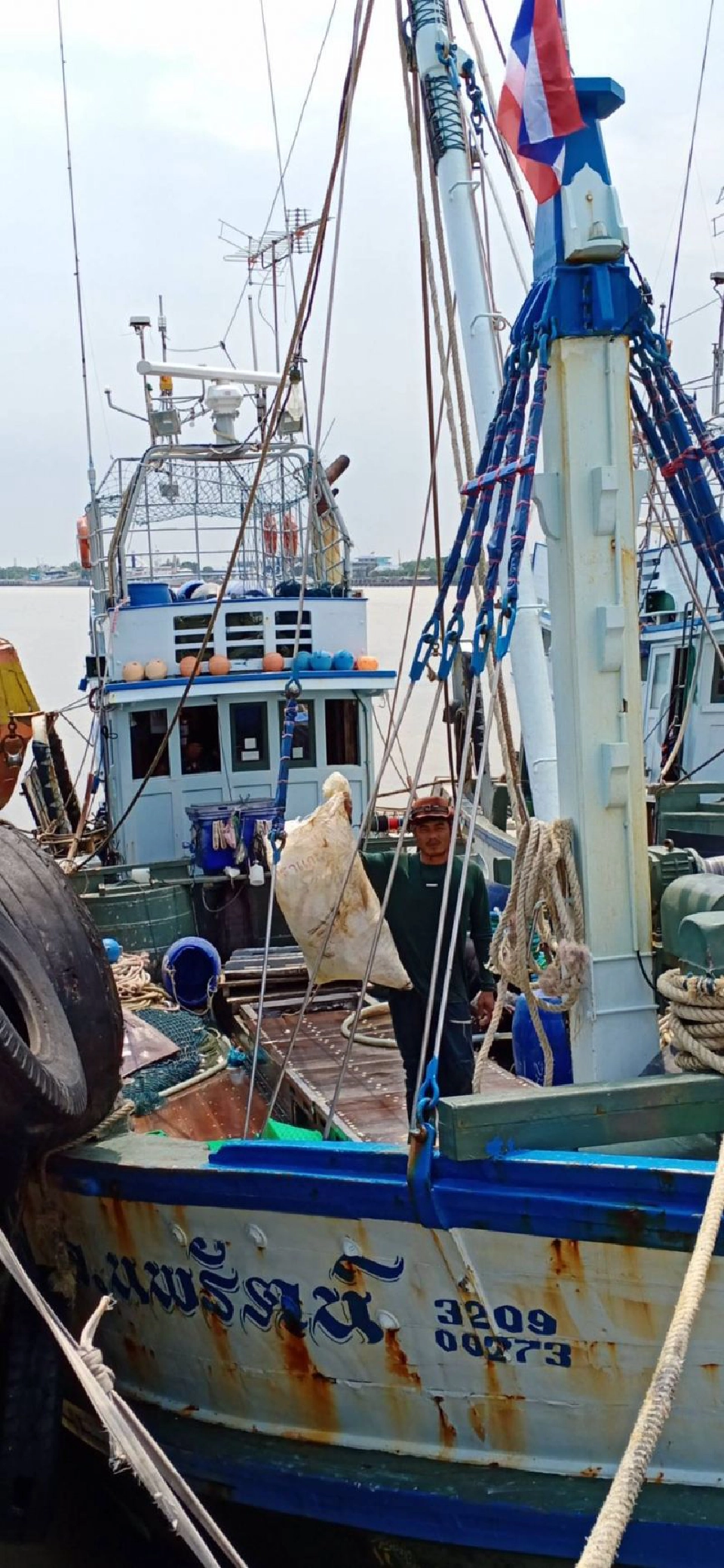 สุดปัง!! ประมงเคลียร์มหาสมุทร