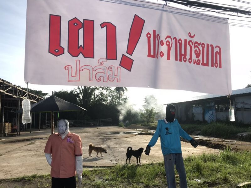 อนุฯ ปาล์ม-ยางฯ รับปากชาวสวน “ปั่นไฟ” กระบี่