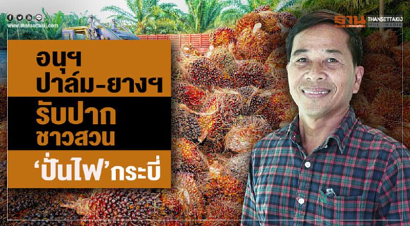 อนุฯ ปาล์ม-ยางฯ รับปากชาวสวน “ปั่นไฟ” กระบี่ อนุฯ ปาล์ม-ยางฯ รับปากชาวสวน “ปั่นไฟ” กระบี่