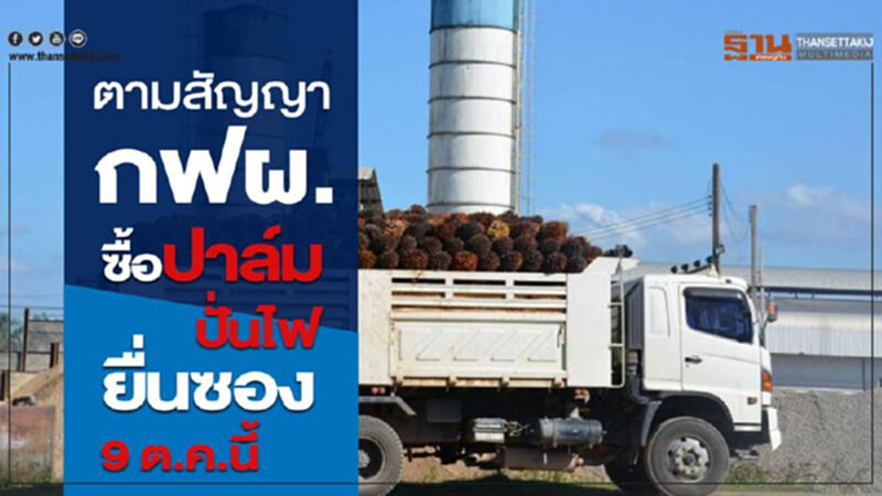 กฟผ.ลุยซื้อน้ำมันปาล์มดิบผลิตไฟเพิ่ม กฟผ.ลุยซื้อน้ำมันปาล์มดิบผลิตไฟเพิ่ม
