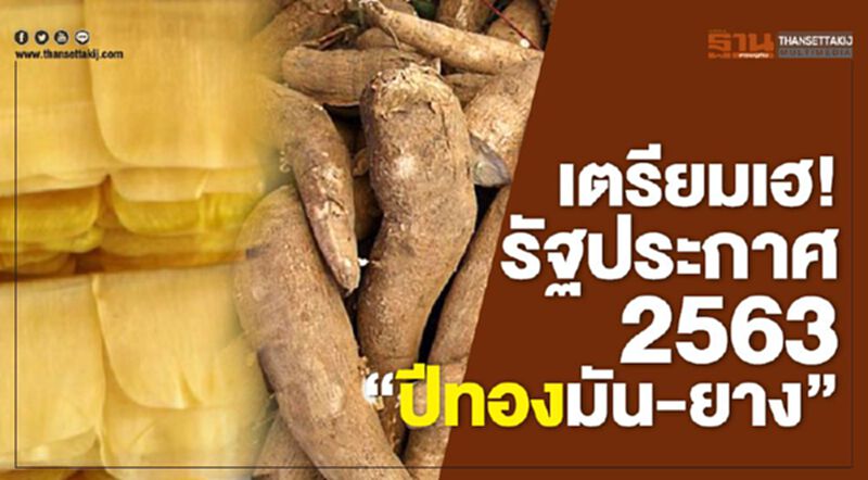 เตรียมเฮ! รัฐประกาศ 2563 "ปีทองมัน-ยาง" เตรียมเฮ! รัฐประกาศ 2563 "ปีทองมัน-ยาง"