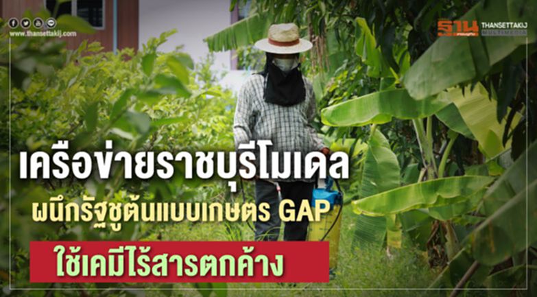 เครือข่ายราชบุรีโมเดลผนึกรัฐชูต้นแบบเกษตร GAP ใช้เคมีไร้สารตกค้าง เครือข่ายราชบุรีโมเดลผนึกรัฐชูต้นแบบเกษตร GAP ใช้เคมีไร้สารตกค้าง