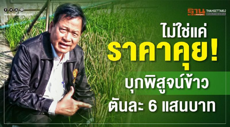 ไม่ใช่แค่ราคาคุย! บุกพิสูจน์ข้าวตันละ 6 แสน ไม่ใช่แค่ราคาคุย! บุกพิสูจน์ข้าวตันละ 6 แสน