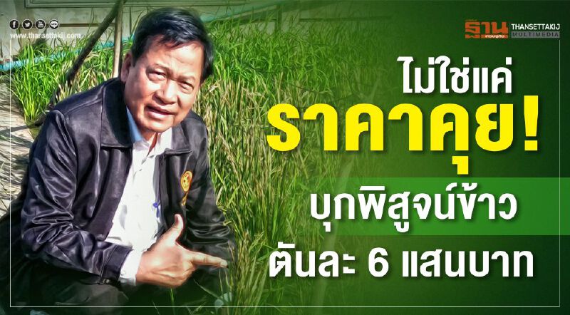 ไม่ใช่แค่ราคาคุย! บุกพิสูจน์ข้าวตันละ 6 แสน