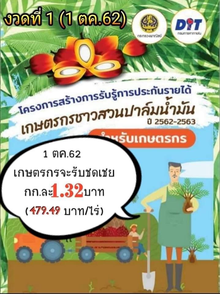 เงินเข้าแล้ว!!! ปาล์มเฮ!รัฐโอนให้ไร่ละ475 บาท