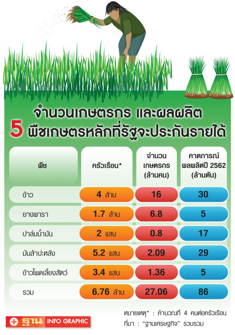 เงินเข้าแล้ว!!! ปาล์มเฮ!รัฐโอนให้ไร่ละ475 บาท