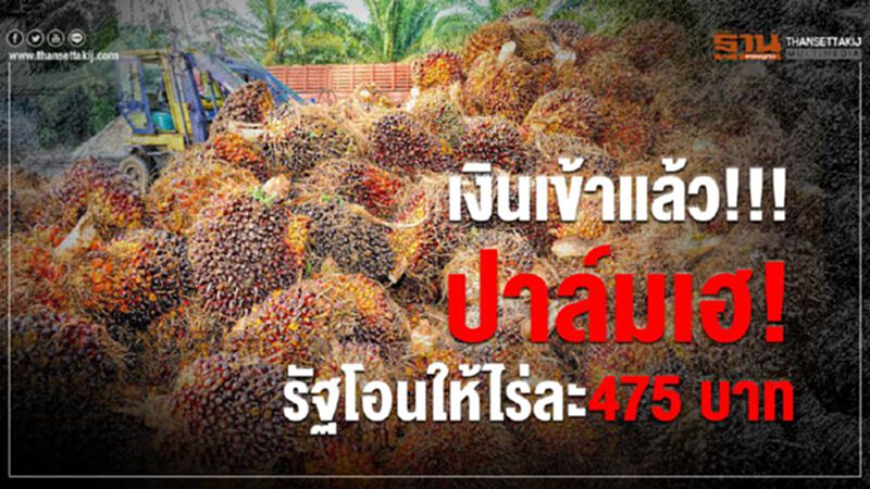 เงินเข้าแล้ว!!! ปาล์มเฮ!รัฐโอนให้ไร่ละ475 บาท เงินเข้าแล้ว!!! ปาล์มเฮ!รัฐโอนให้ไร่ละ475 บาท