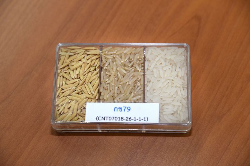 ชาวนาลพบุรีร้องยี้ ‘กข79’