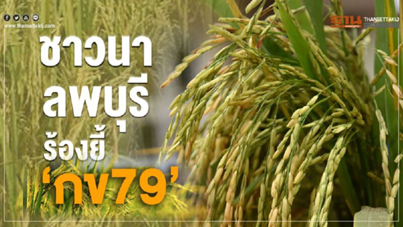 ชาวนาลพบุรีร้องยี้ ‘กข79’ ชาวนาลพบุรีร้องยี้ ‘กข79’