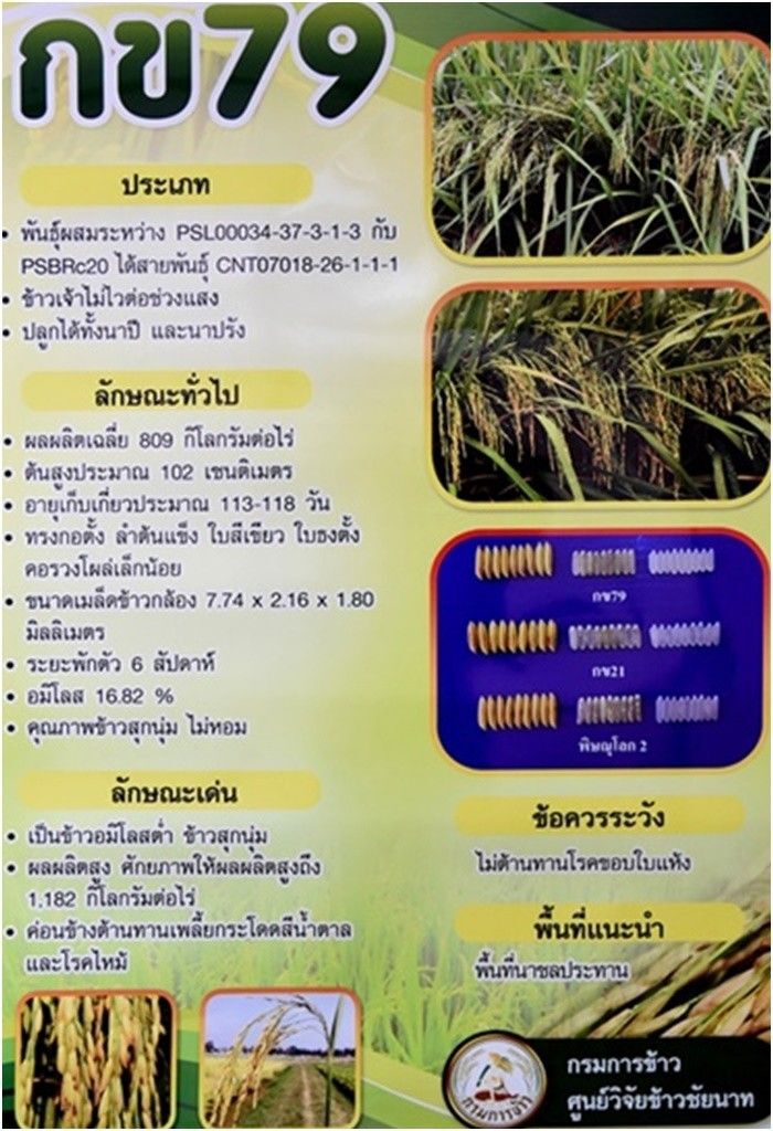 ชาวนาลพบุรีร้องยี้ ‘กข79’