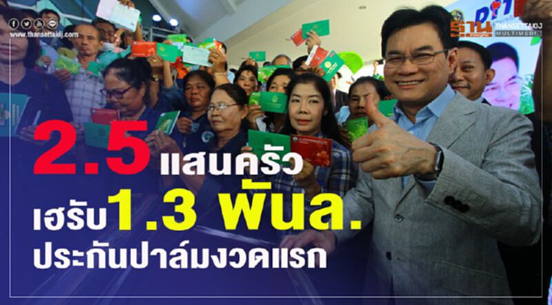 2.5 แสนครัวเฮรับ 1.3 พันล.ประกันปาล์มงวดแรก 2.5 แสนครัวเฮรับ 1.3 พันล.ประกันปาล์มงวดแรก