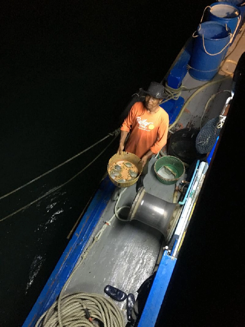 ยกย่องปล่อยปูม้าคืนทะเล