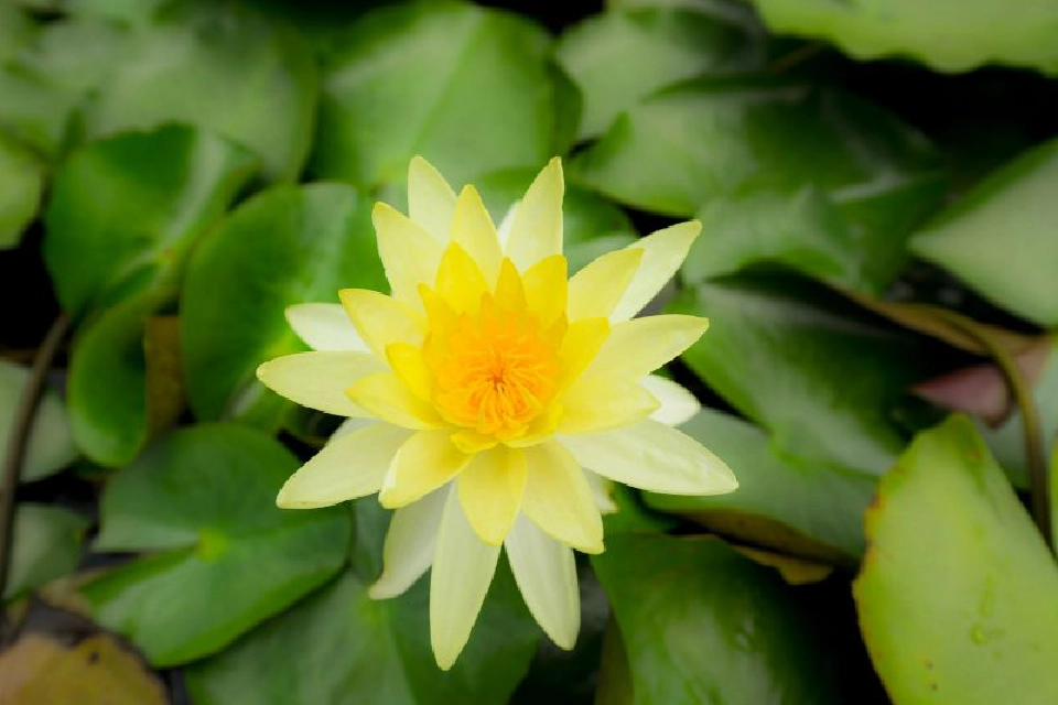 CHECK-IN...10 พิกัดแชะ @สวนสวยสายวิ่ง