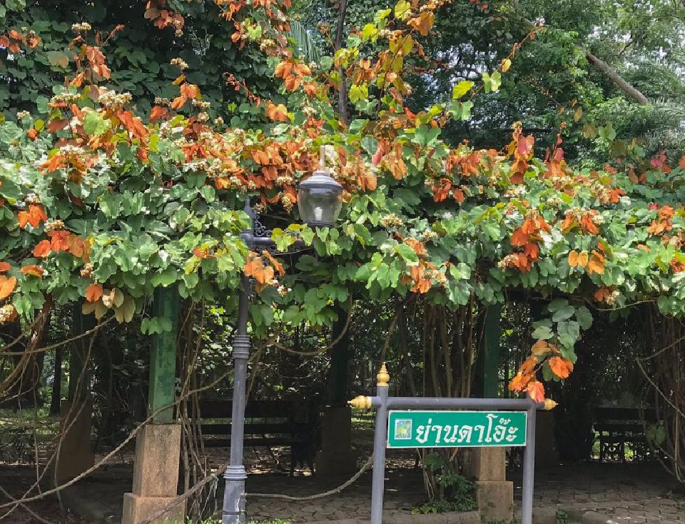 CHECK-IN...10 พิกัดแชะ @สวนสวยสายวิ่ง