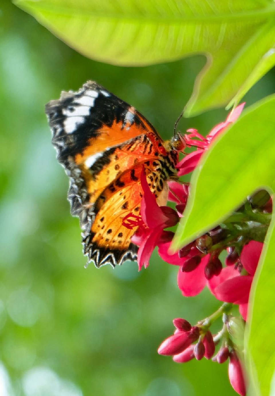 CHECK-IN...10 พิกัดแชะ @สวนสวยสายวิ่ง