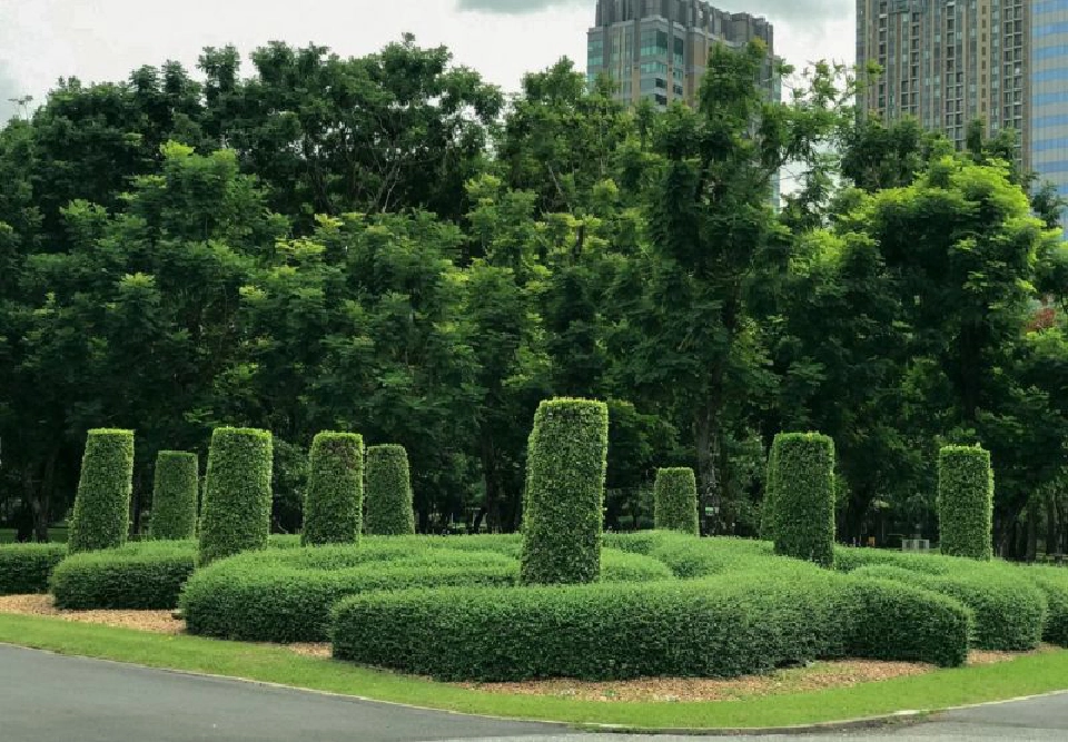 CHECK-IN...10 พิกัดแชะ @สวนสวยสายวิ่ง