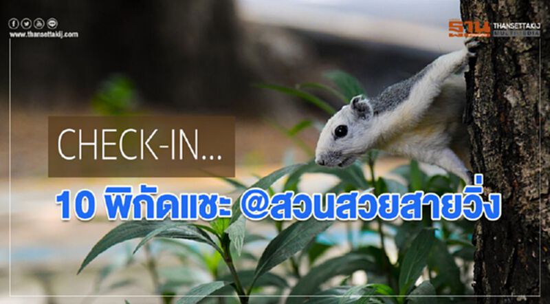 CHECK-IN...10 พิกัดแชะ @สวนสวยสายวิ่ง CHECK-IN...10 พิกัดแชะ @สวนสวยสายวิ่ง