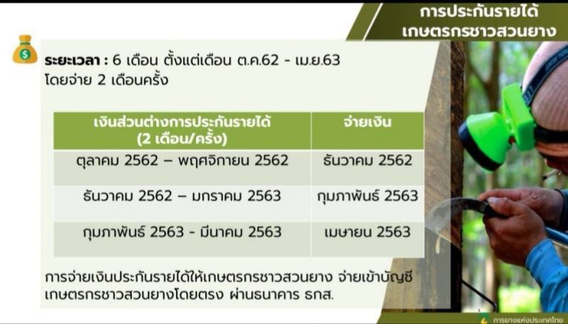 “บิ๊กตู่”ถอย ส่ง “จุรินทร์” เคาะประกันรายได้ยาง 4 ต.ค.นี้