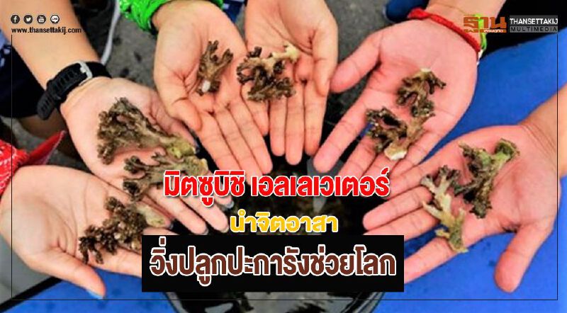 มิตซูบิชิ เอลเลเวเตอร์นำจิตอาสาวิ่งปลูกปะการังช่วยโลก มิตซูบิชิ เอลเลเวเตอร์นำจิตอาสาวิ่งปลูกปะการังช่วยโลก