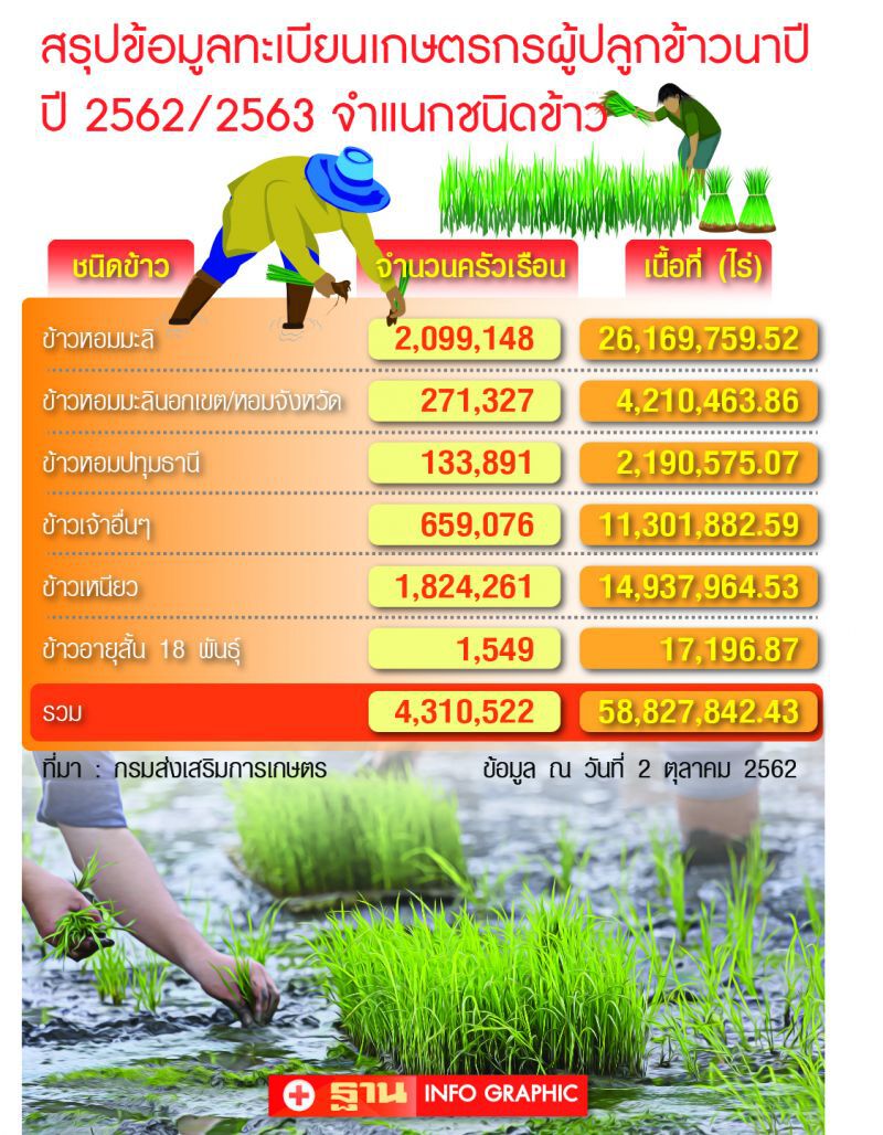 เปิดสูตร ราคากลาง  เคาะจ่ายประกันข้าว ดีเดย์ 16 ต.ค.