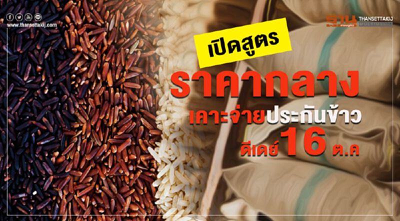 เปิดสูตร ราคากลาง เคาะจ่ายประกันข้าว ดีเดย์ 16 ต.ค. เปิดสูตร ราคากลาง เคาะจ่ายประกันข้าว ดีเดย์ 16 ต.ค.