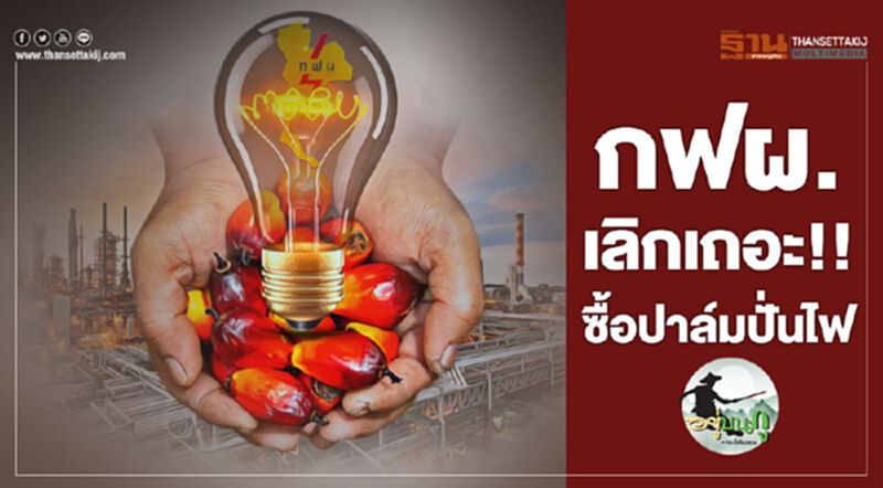 กฟผ. เลิกเถอะ!! ซื้อปาล์มปั่นไฟ กฟผ. เลิกเถอะ!! ซื้อปาล์มปั่นไฟ