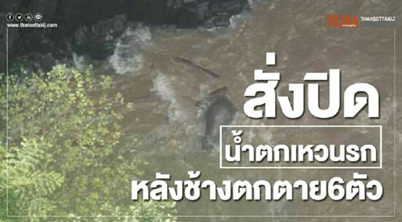 สั่งปิดน้ำตกเหวนรก หลังช้างตกตาย6ตัว สั่งปิดน้ำตกเหวนรก หลังช้างตกตาย6ตัว