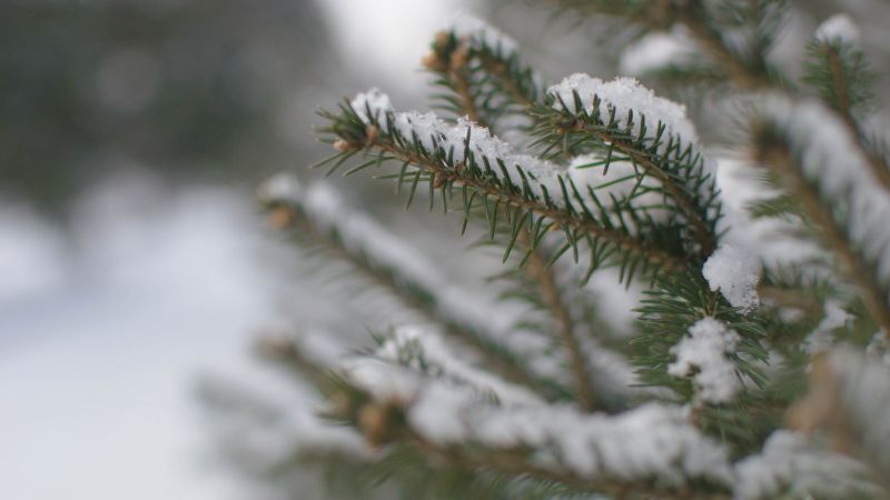 หลังกล้องไซบีเรีย: เอาชีวิตรอดกับ -60° ฉบับชาวไซบีเรีย