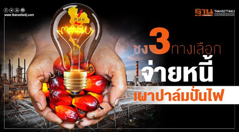 ชง3ทางเลือก จ่ายหนี้เผาปาล์มปั่นไฟ ชง3ทางเลือก จ่ายหนี้เผาปาล์มปั่นไฟ