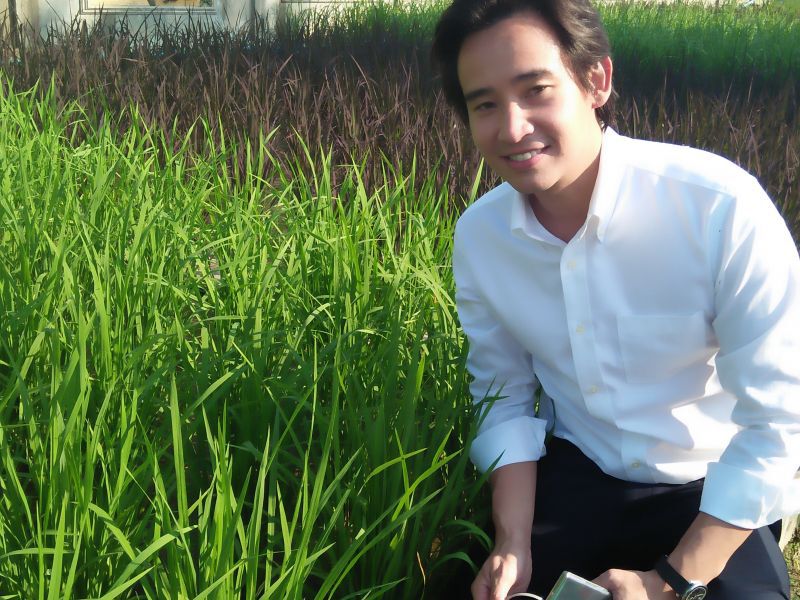 เปิดสูตร ราคากลาง  เคาะจ่ายประกันข้าว ดีเดย์ 16 ต.ค.